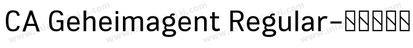CA Geheimagent Regular字体转换